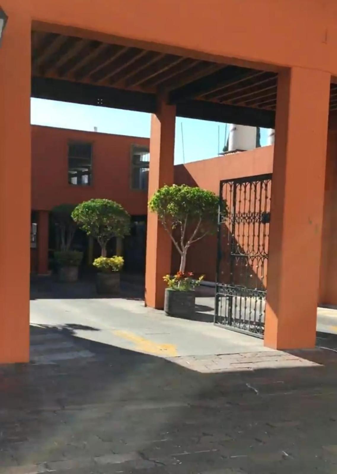 Lele Panchito Y Lavanda Juntos En El Centro Appartement *